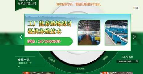 余江县宏*特种水产养殖有限公司网站建设有创意的主题设计